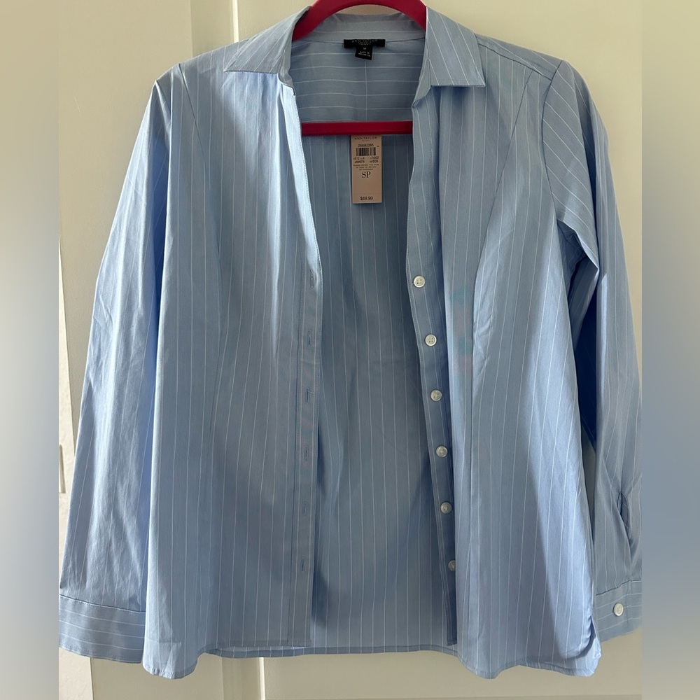 Blue pin stripe Ann Taylor Tailored shirt